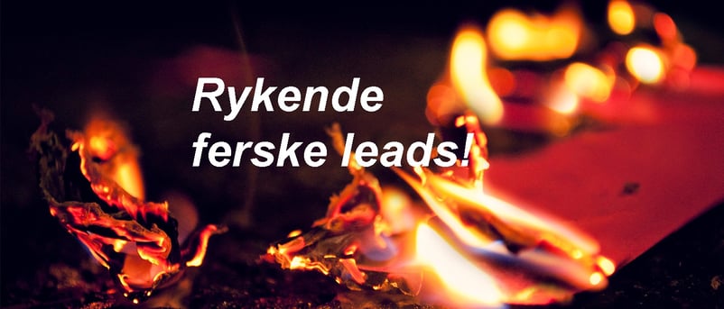 Rykende_ferske_leads.jpg