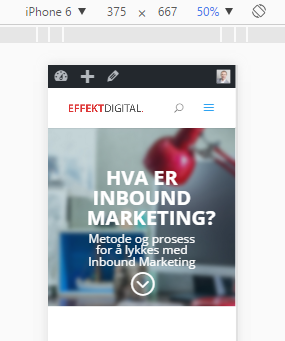 Skjermbilde_utviklerverkty.png